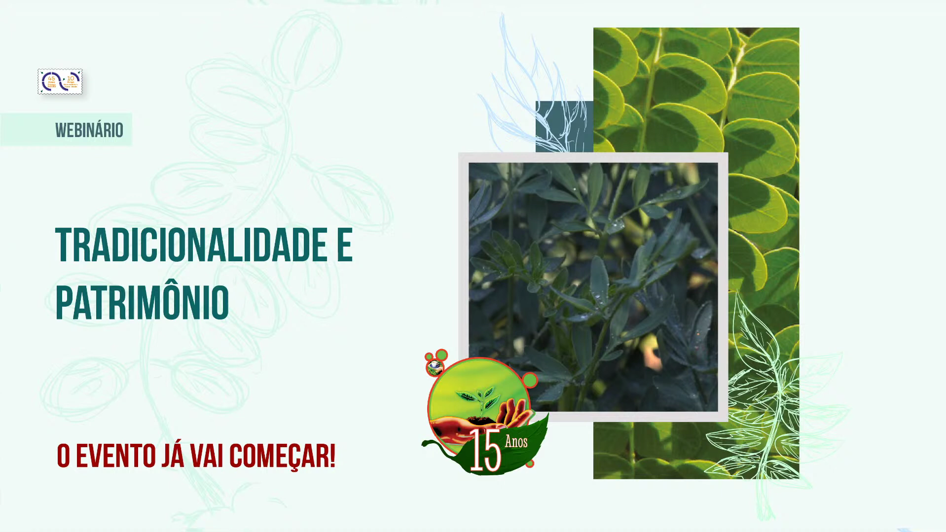 Contribuições históricas para a fitoterapia