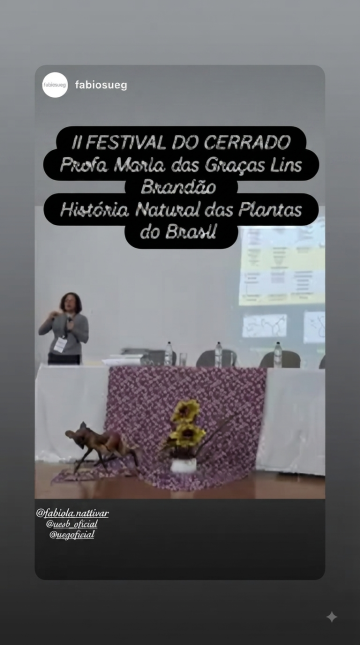Festival do Cerrado em Pirenópolis, Goiás
