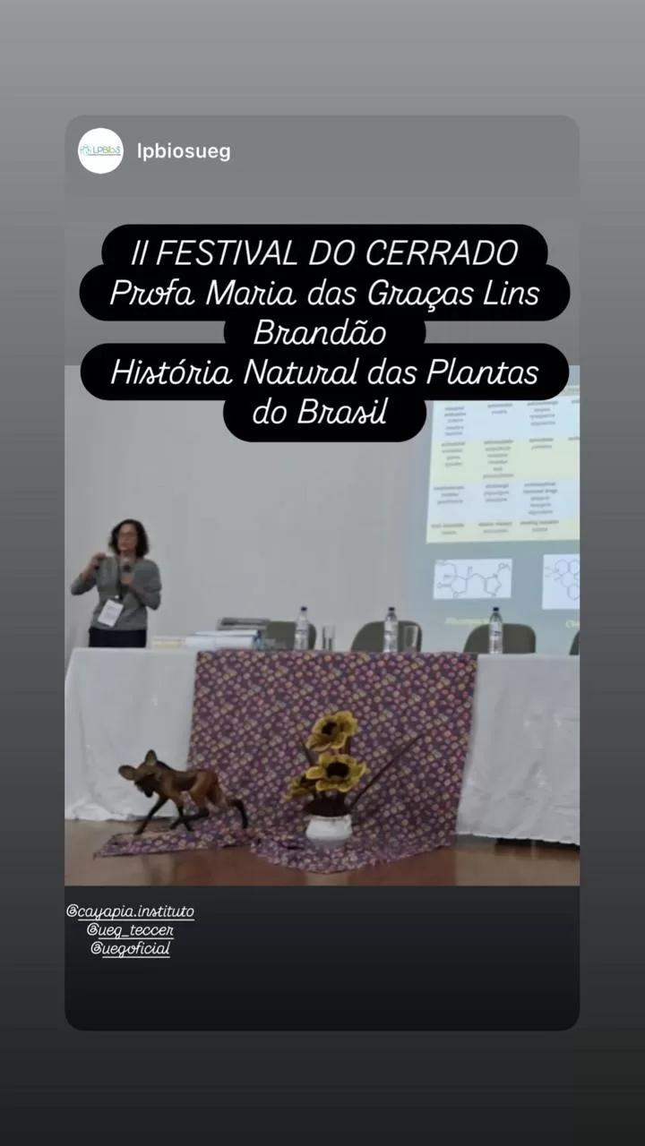 Festival do Cerrado em Pirenópolis, Goiás