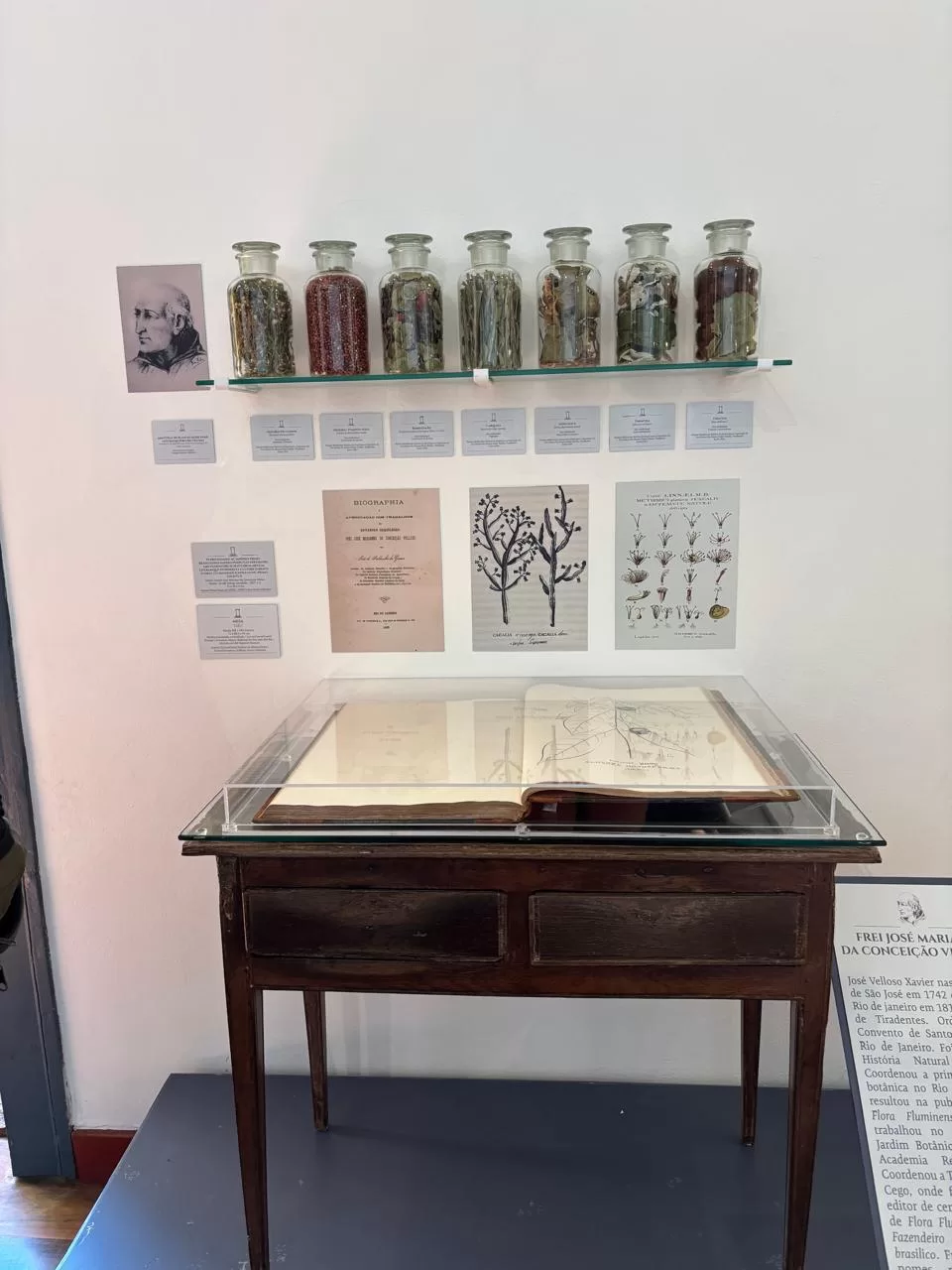 Exposição sobre as plantas medicinais do Frei Veloso no Museu Casa do Padre Toledo (UFMG) em Tiradentes