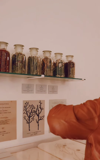 Exposição Frei Veloso e as plantas medicinais brasileiras/ Museu Casa do padre Toledo, campus cultural da UFMG em Tiradentes.